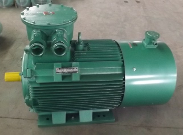 YB系列防爆电机实图