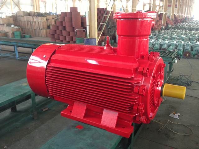 变频防爆电机图