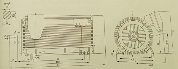 ybx3央视网企鹅体育直播
外形