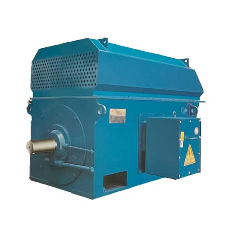 中型高压三相异步电动机