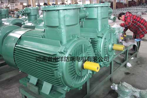 德甲直播足球直播实拍图