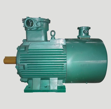国产防爆电机